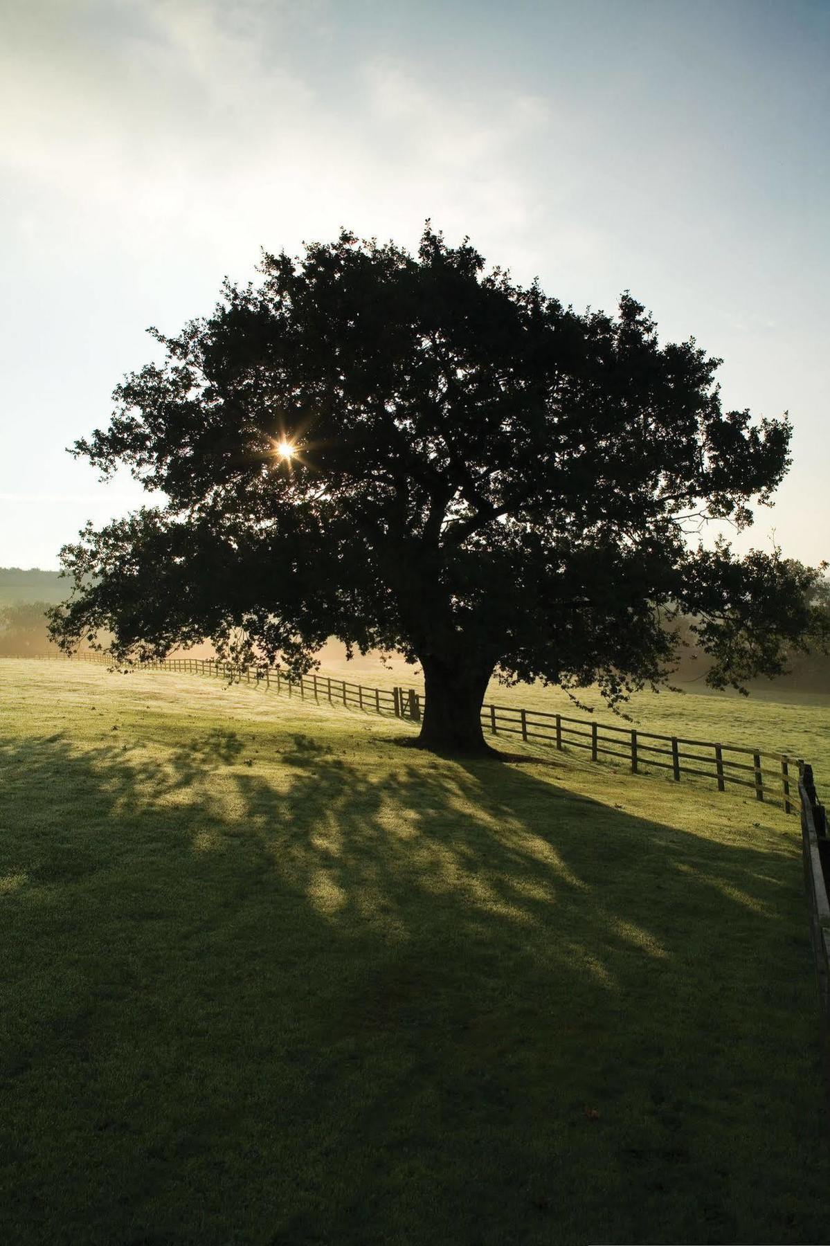 Wood Hall Hotel & Spa Wetherby Bagian luar foto